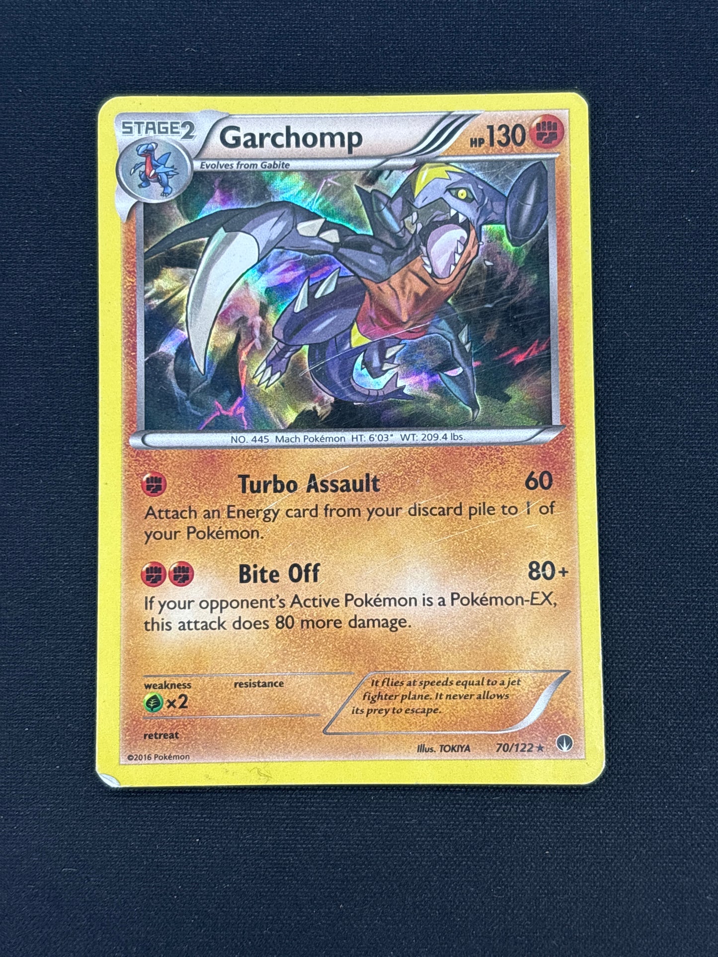 Auction Lot 65: Garchomp Holo Card Conditions Vary