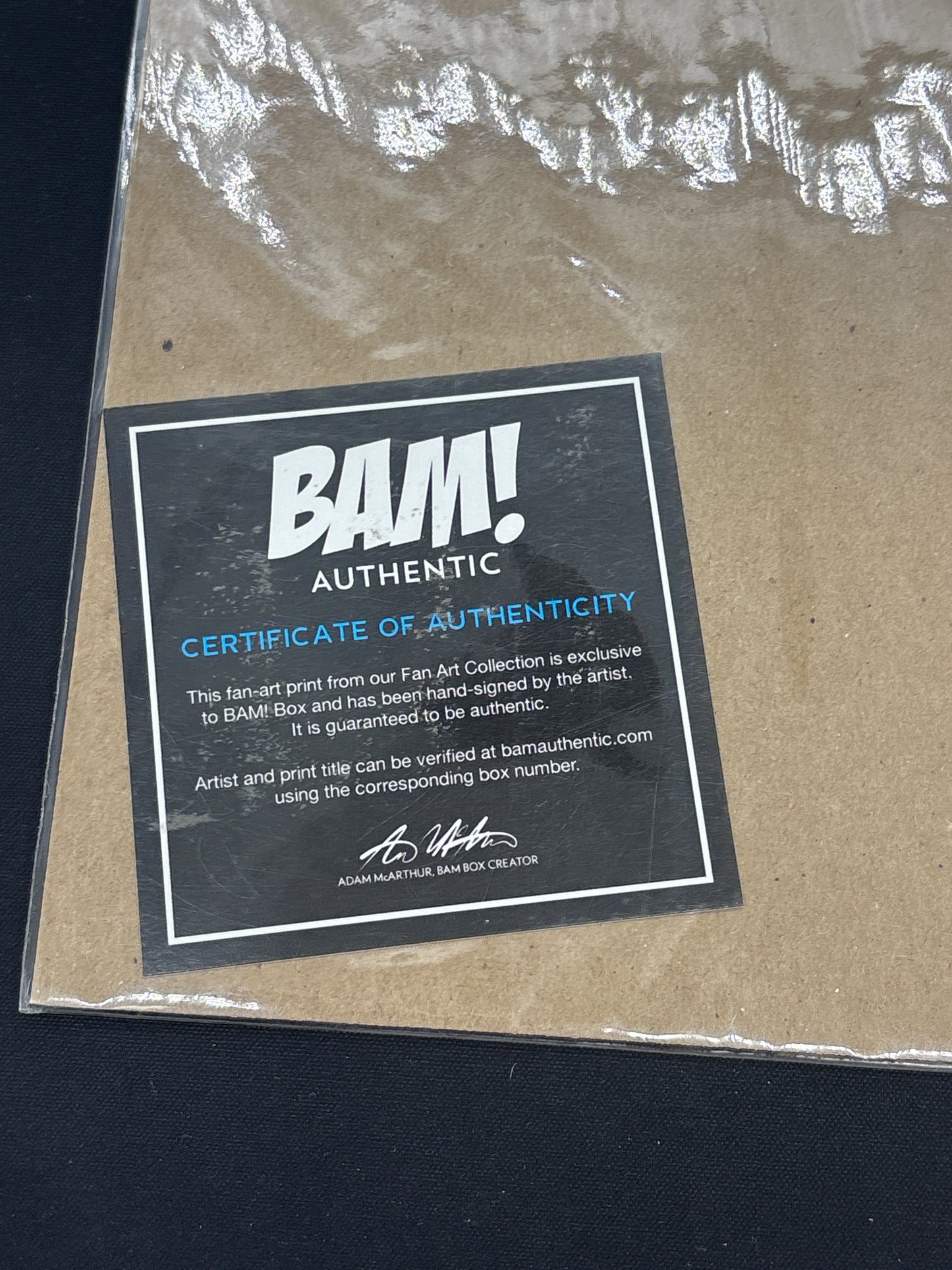 Auction Lot 76: Harley Quinn Limited Edition BAM! Fan Art Print Numbered 920/2000 w/COA