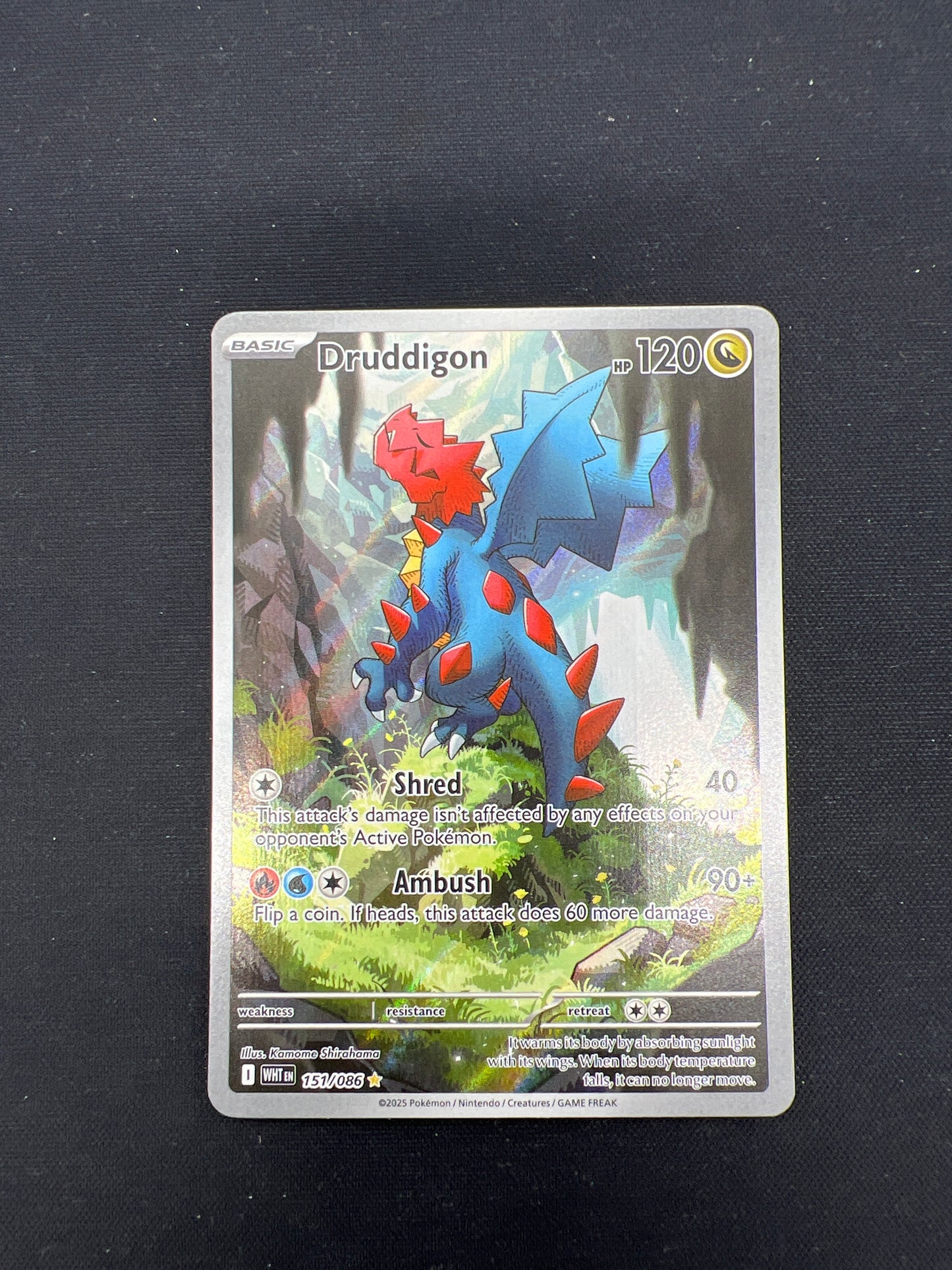 Auction Lot 263: Pokemon Cards Druddigon Illustration Rare White Flare Conditions Vary