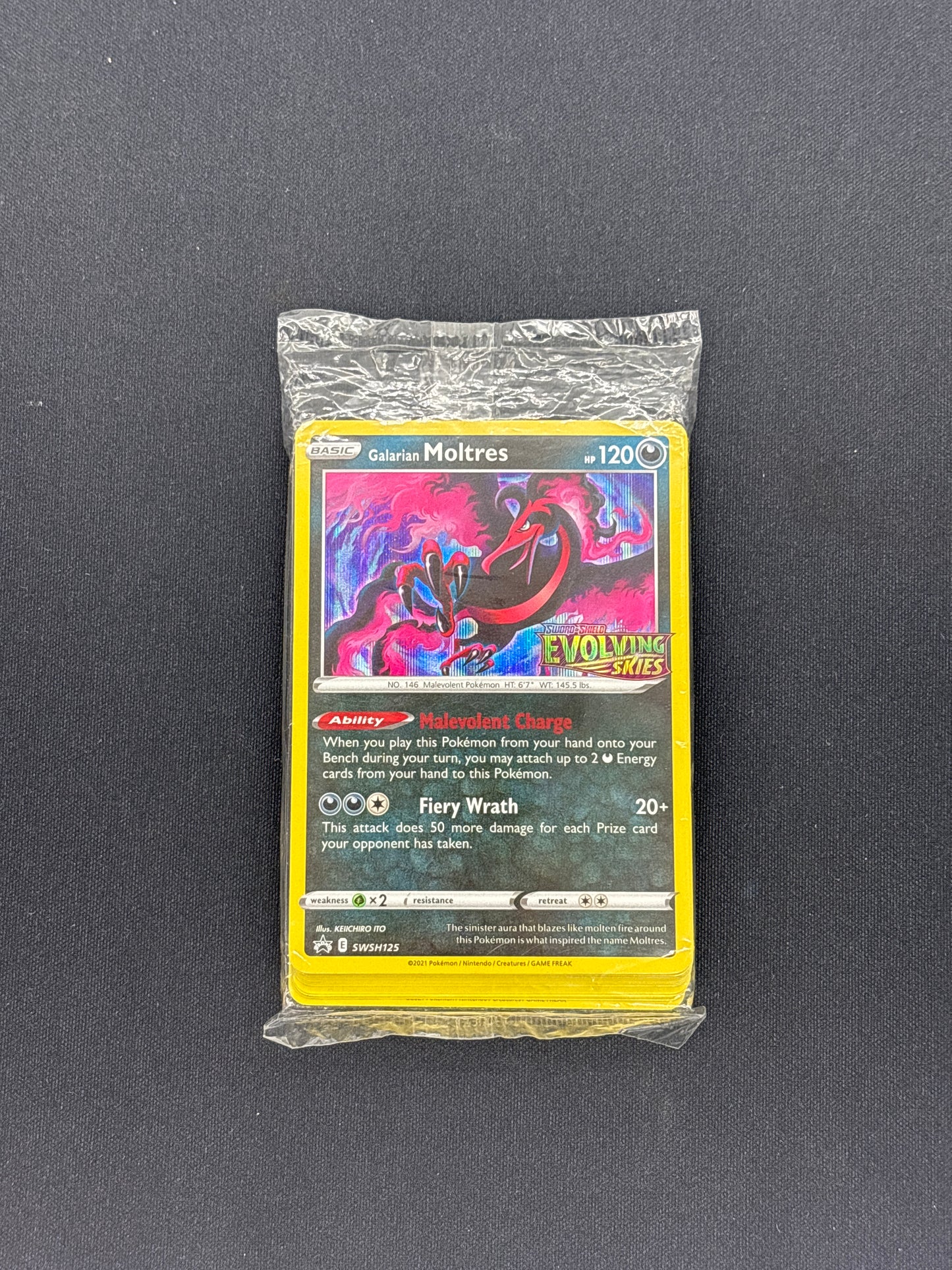 Auction Lot 15: Evolving Skies Build and Battle Deck Galarian Moltres Sealed