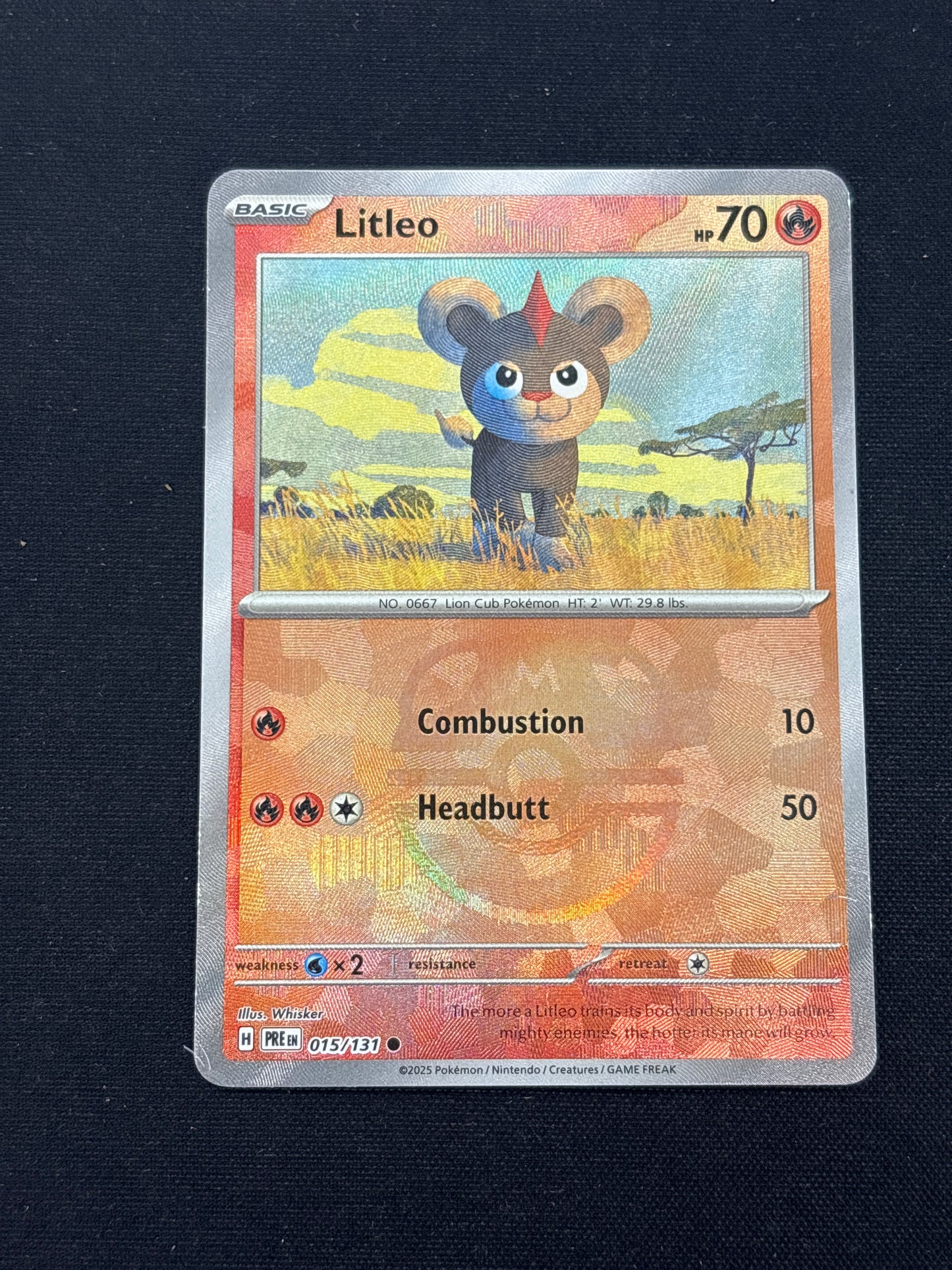 Auction Lot 76: Pokemon Cards Litleo Masterball Holo Prismatic Evolutions Condition Vary