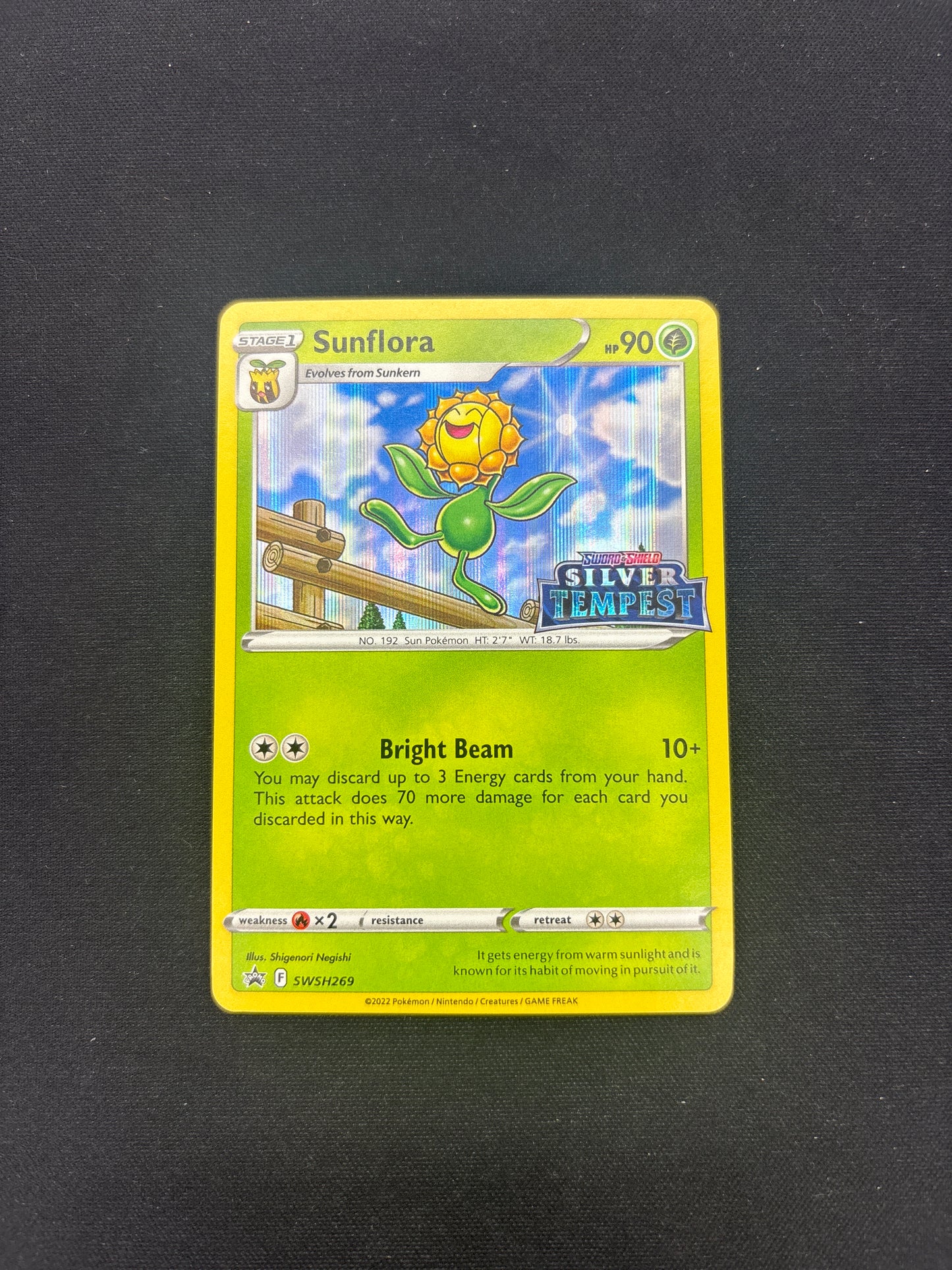 Auction Lot 126: Pokemon Card Sunflora Silver Tempest Stamped Promo Conditions Vary