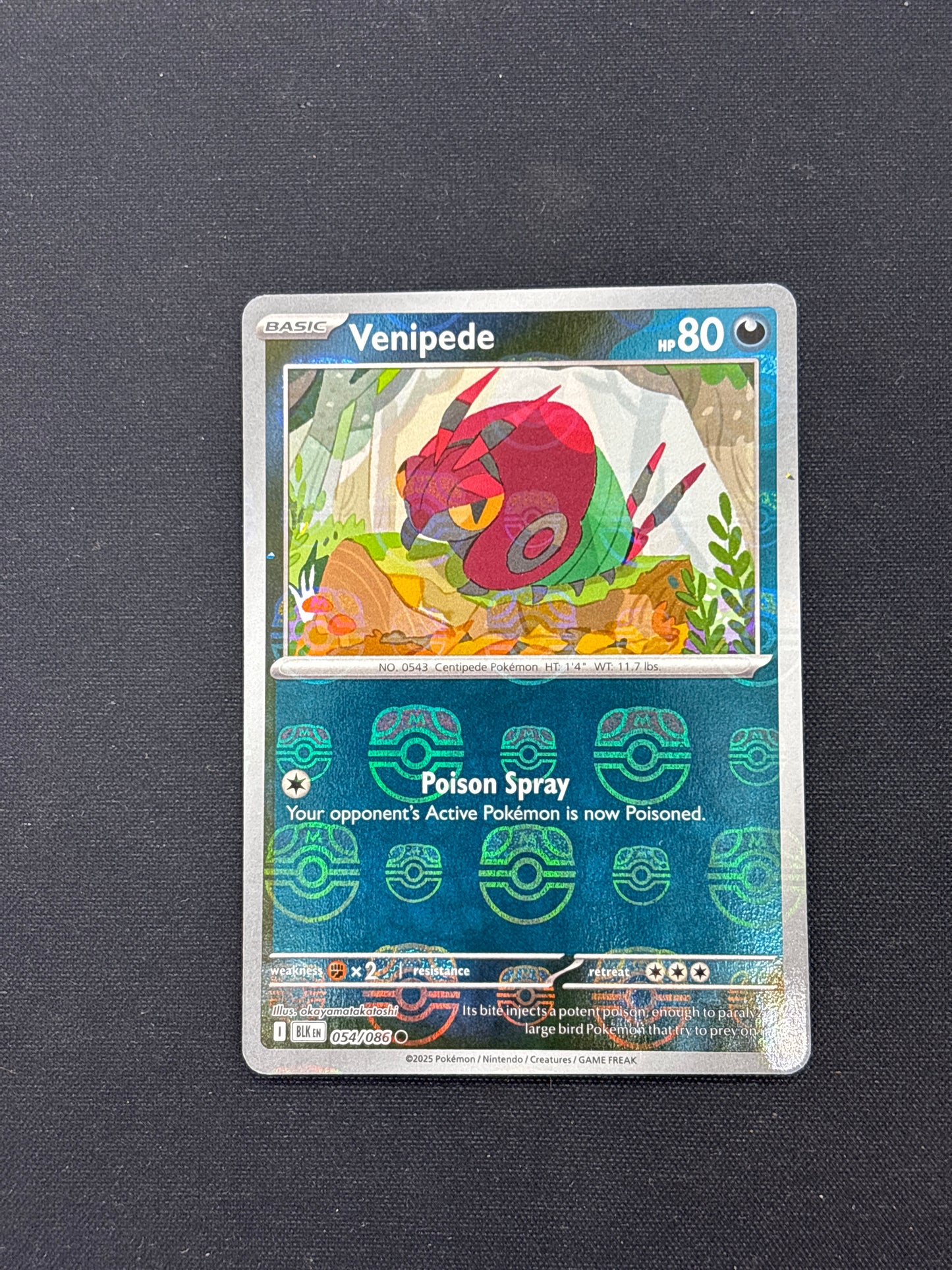 Auction Lot 196: Venipede Masterball Holo Pokemon SV Black Bolt Card Conditions Vary