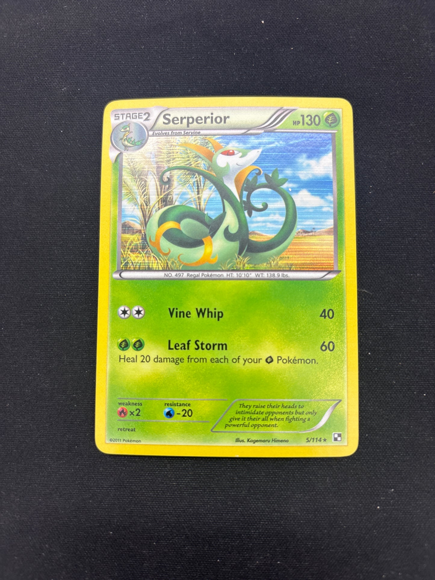 Auction Lot 243: Pokemon Card Serperior Holo Card Conditions Vary