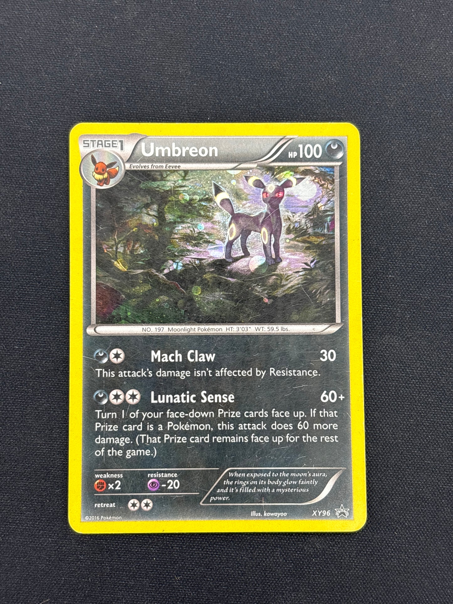 Auction Lot 51: Umbreon Reverse Holo XY96 Promo Card Conditions Vary