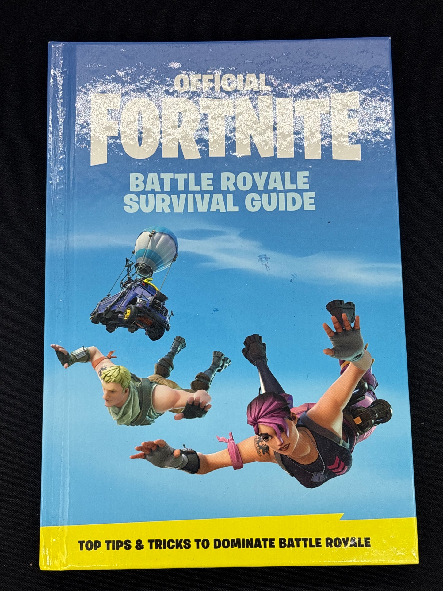 Auction Lot 128: Fortnite Battle Royal Survival Guide Book