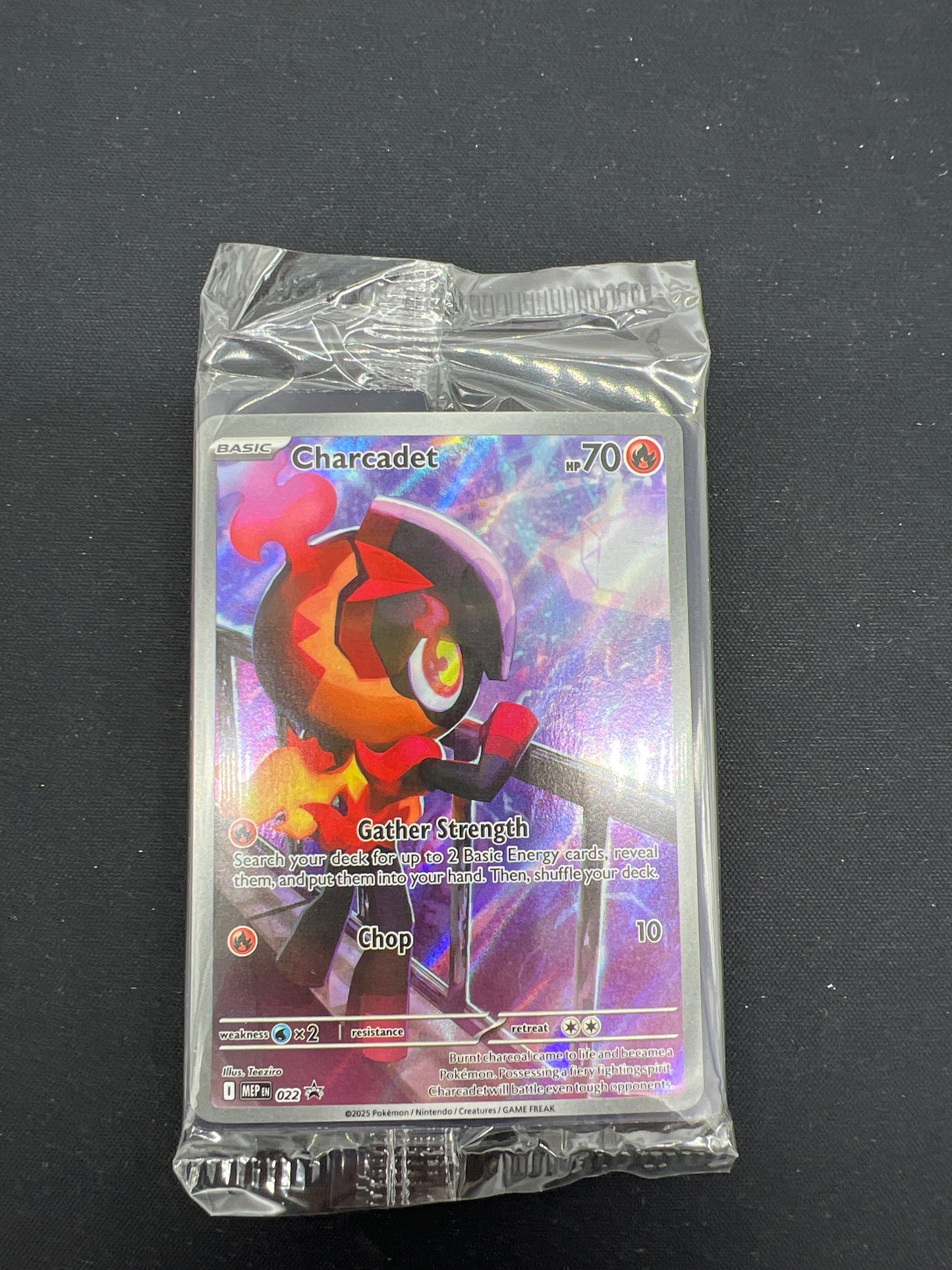 Auction Lot 242: Pokemon Cards Charcadet ETB Promo Sealed Phantasmal Flame Conditions Vary