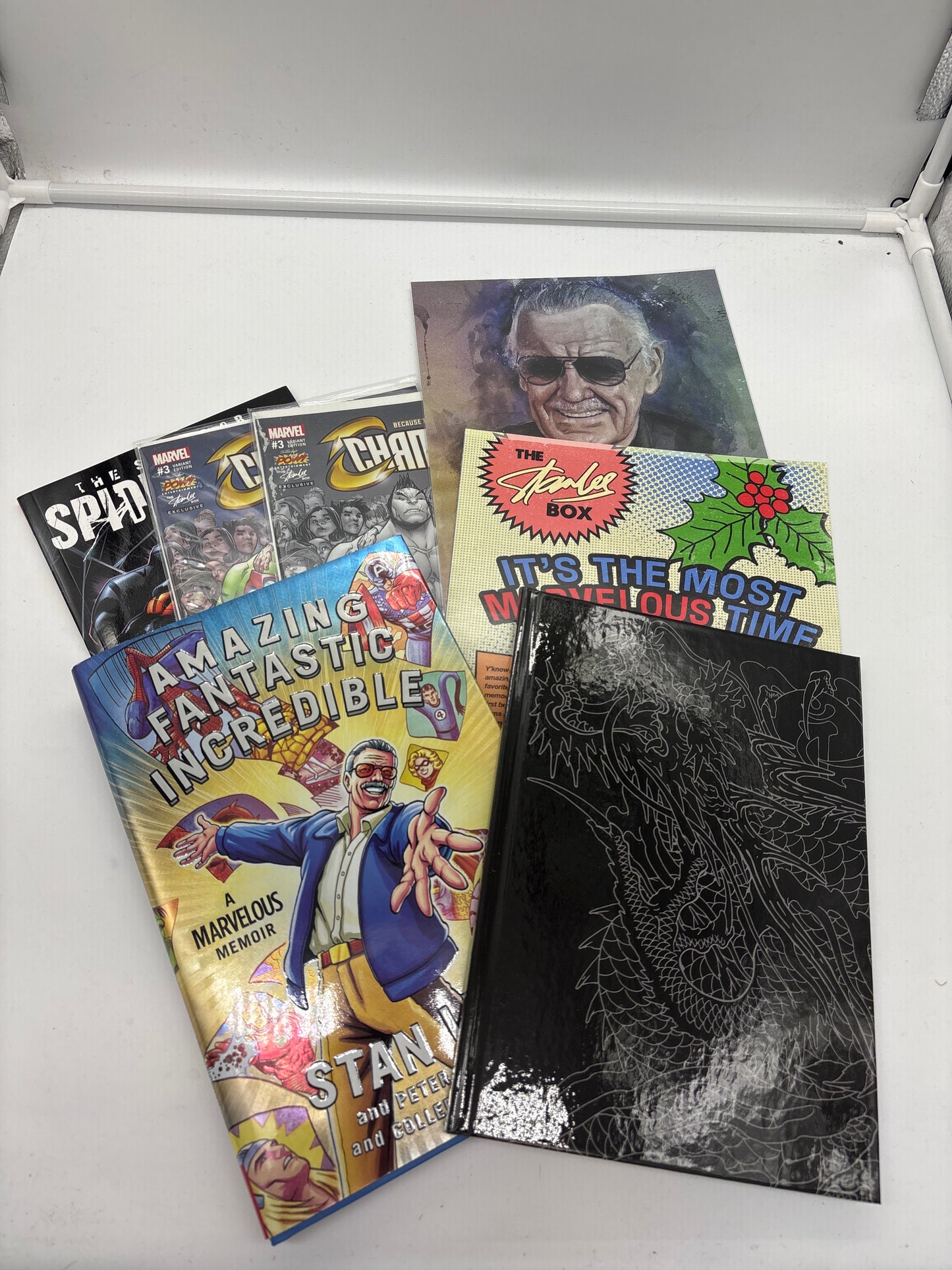 Auction Lot 17: The Stan Lee Box with Content Inside