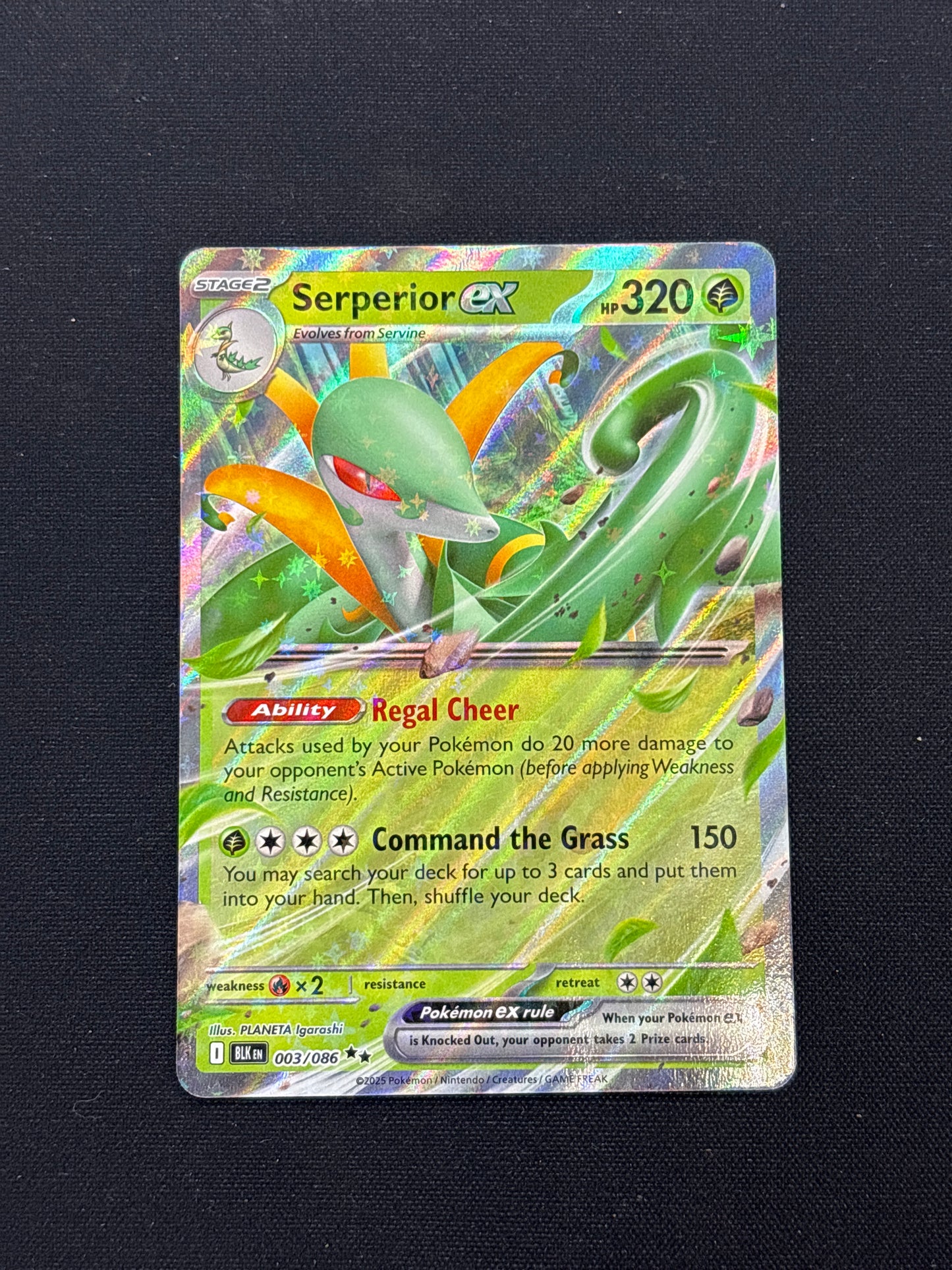 Auction Lot 193: Serperior EX Pokemon SV Black Bolt Card Conditions Vary