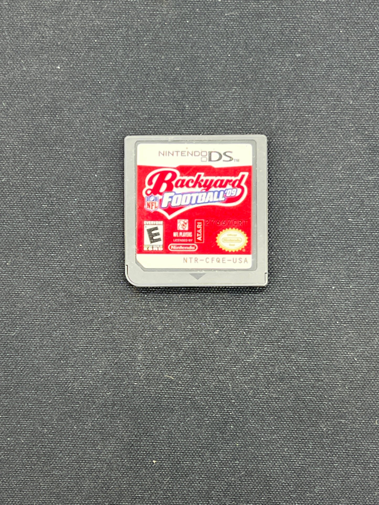 Auction Lot 105: Nintendo DS Backyard Football 09 Cartridge Only