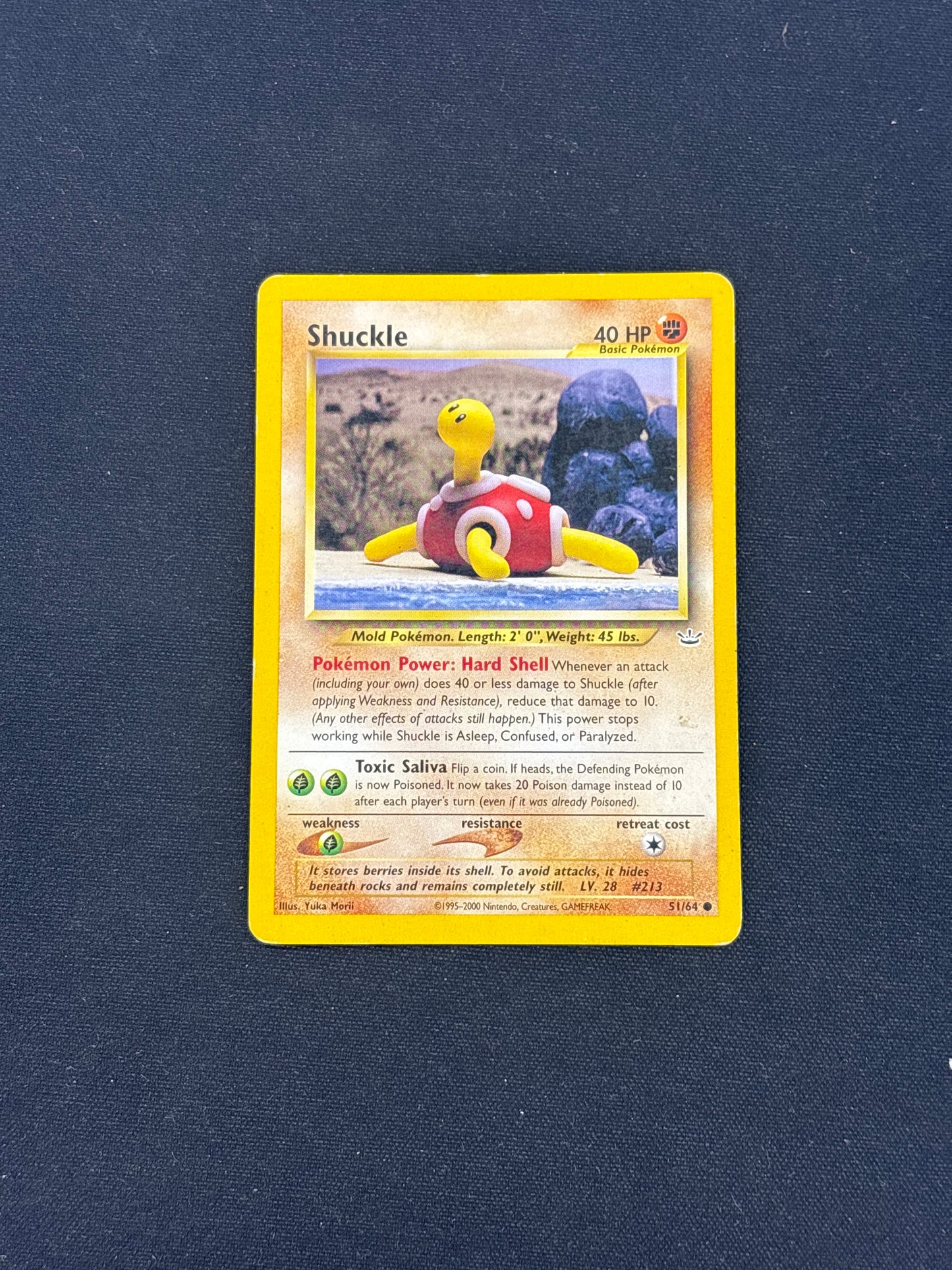 Auction Lot 254: Shuckle Pokemon Neo Revelation Card Conditions Vary