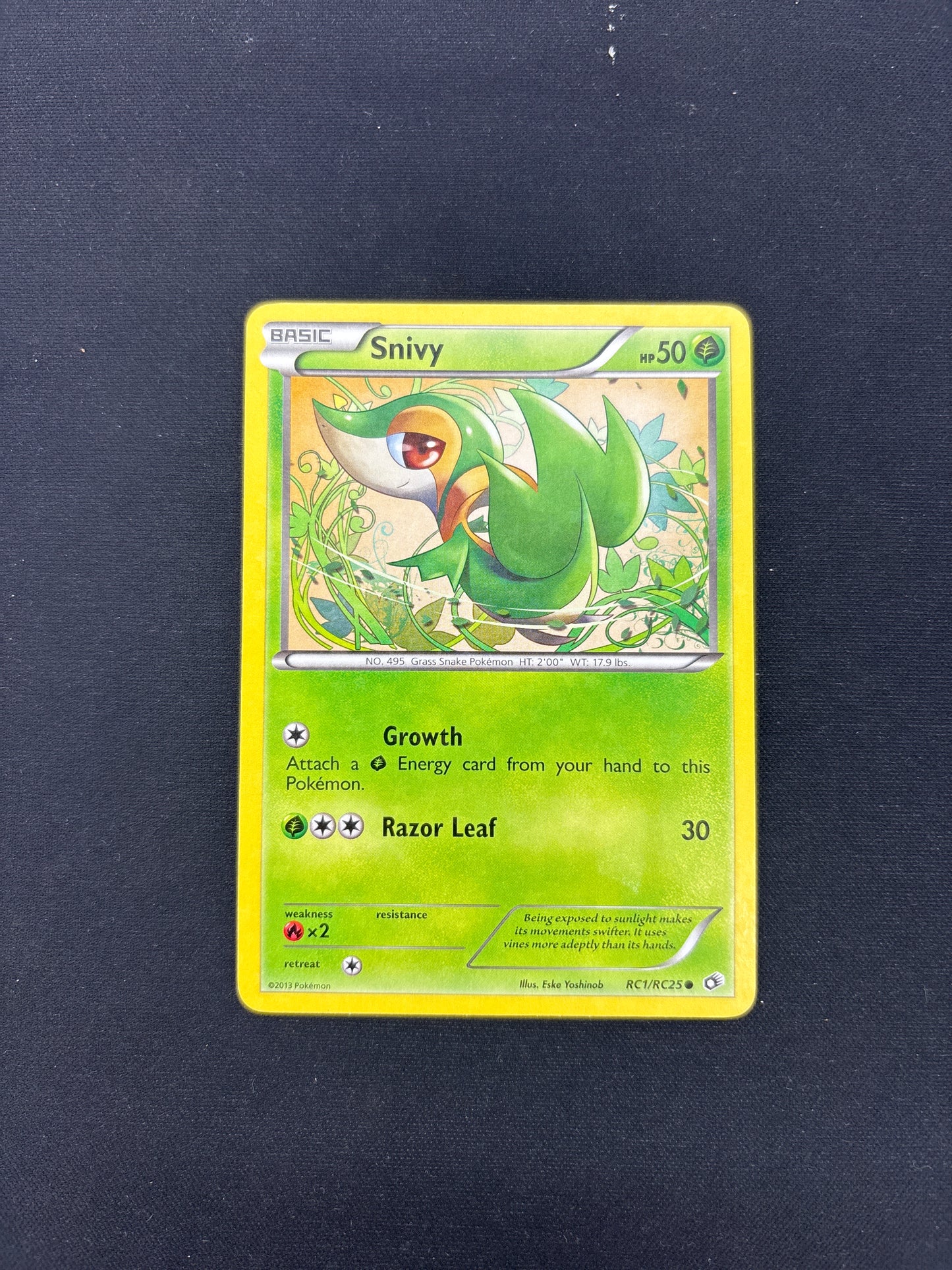 Auction Lot 303: Pokemon Card Snivy Radiant Collection Condition Vary