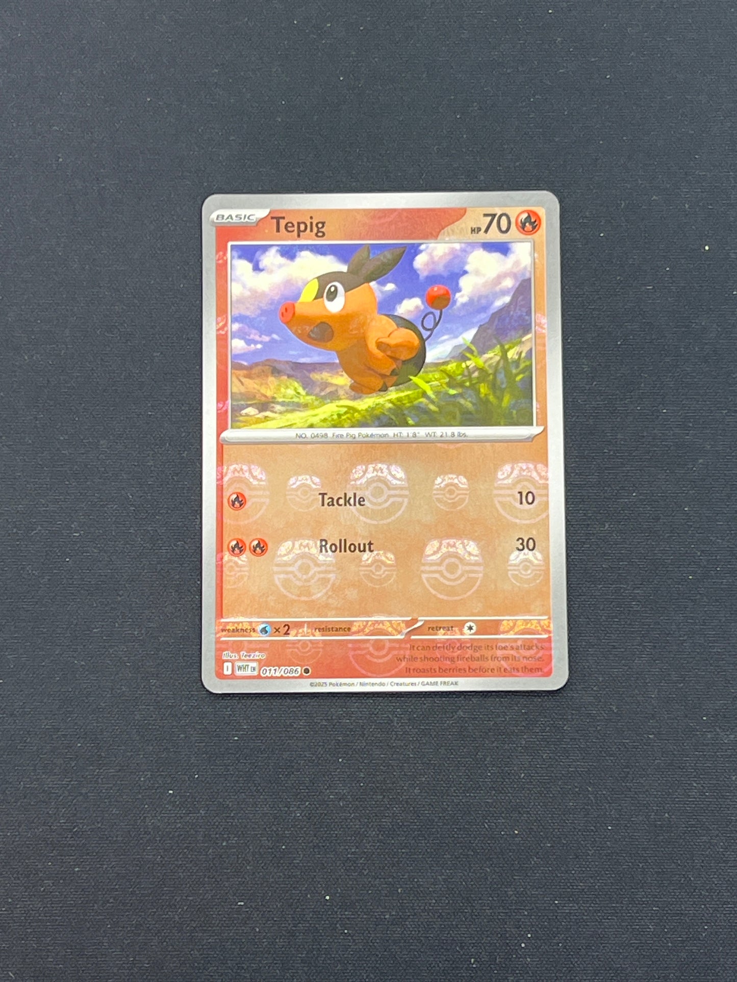 Auction Lot 90: Pokemon Cards Tepig Masterball Holo Conditions Vary