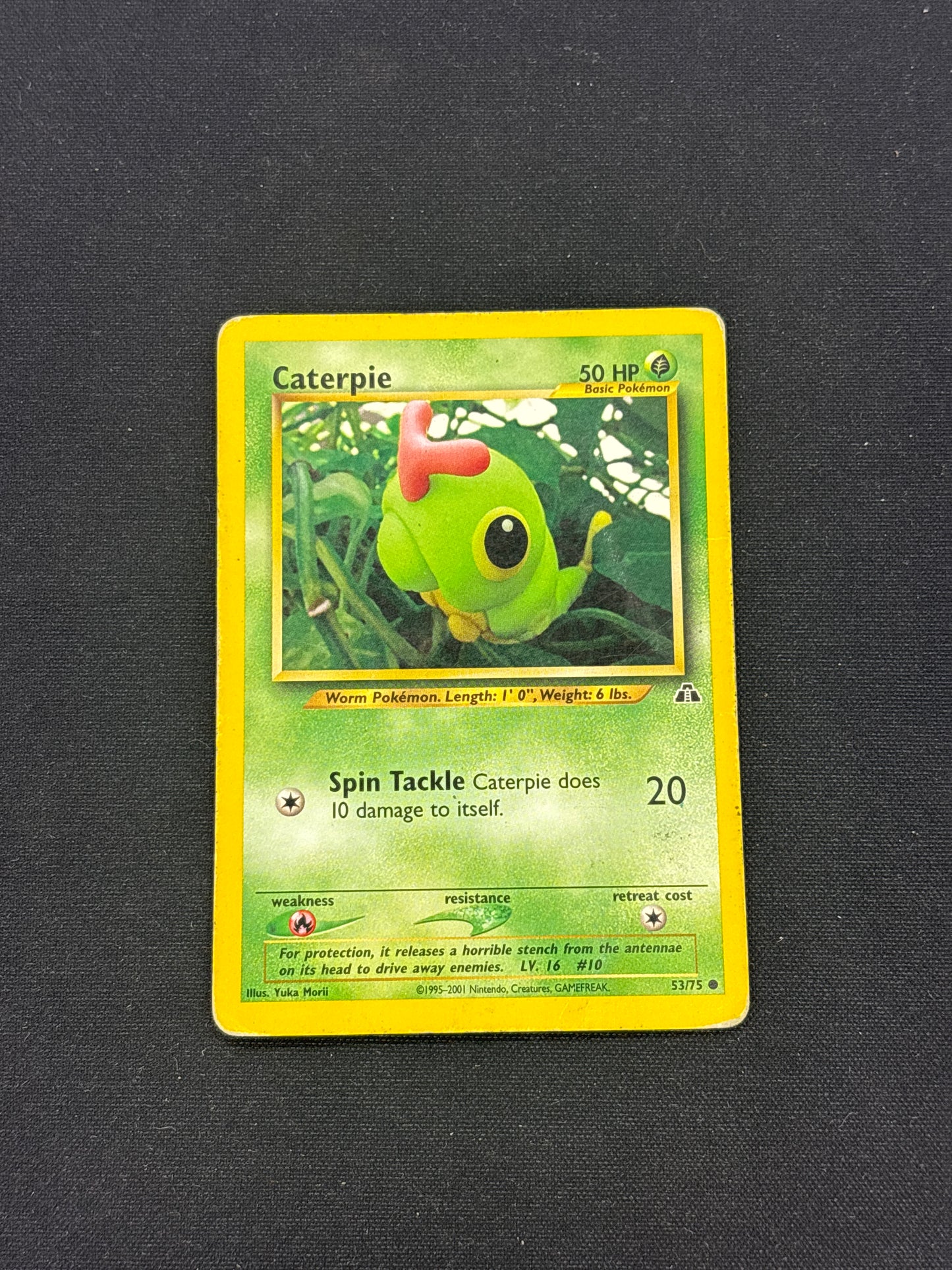 Auction Lot 251: Caterpie Neo Discovery Card Conditions Vary