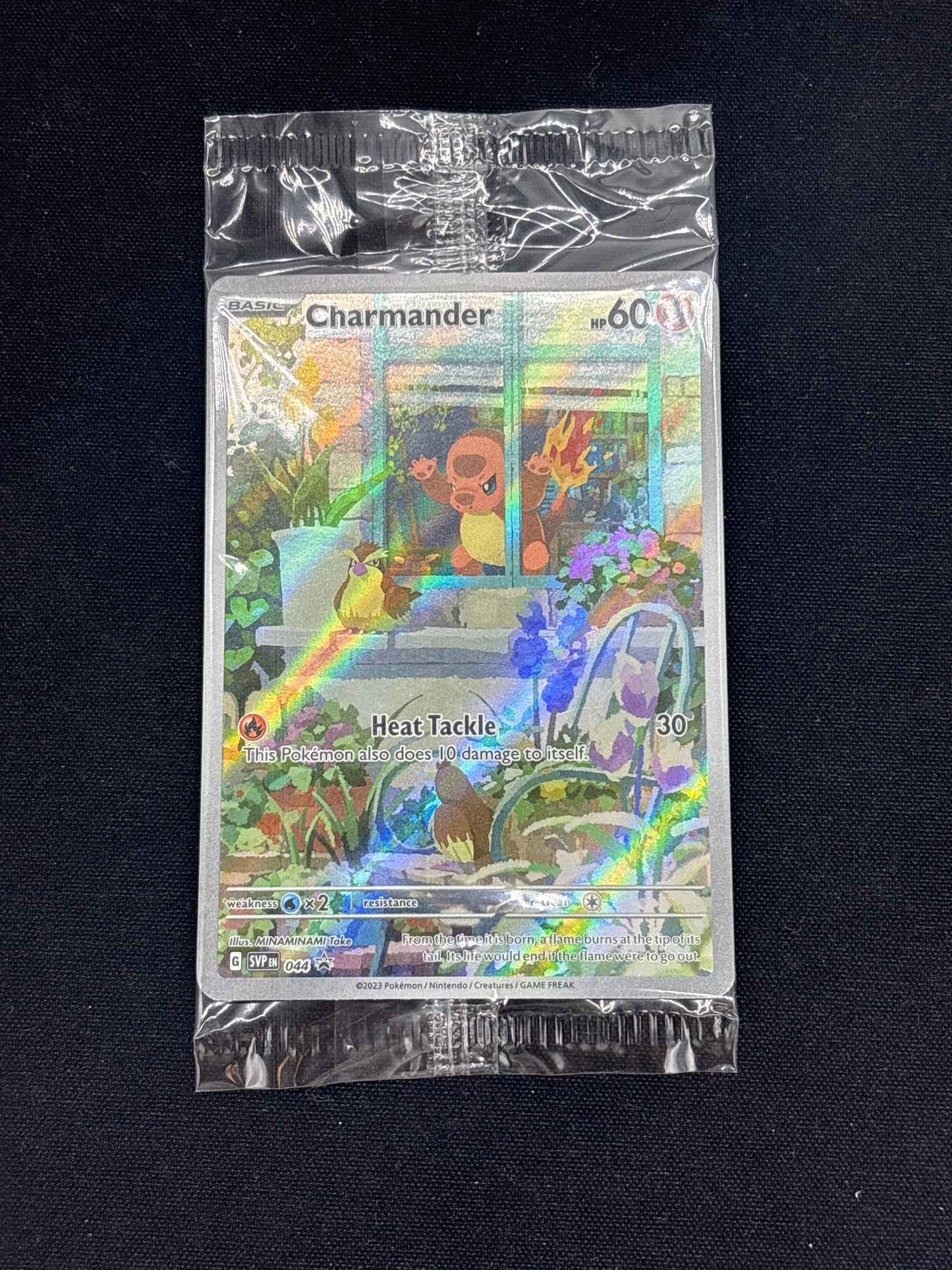 Auction Lot 26: Pokemon Cards Charmander Sealed ETB Promo Obsidian Flames Conditions Vary