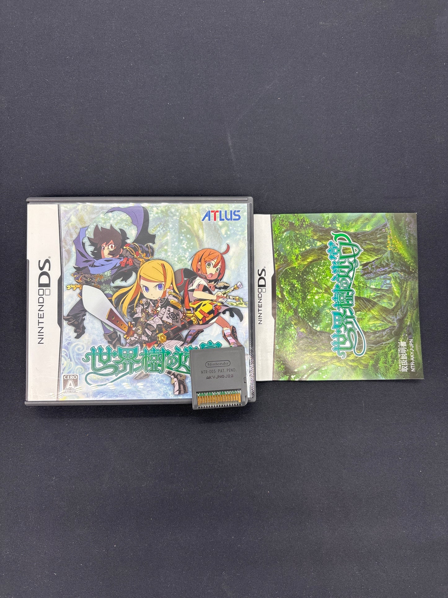 Auction Lot 17: Etrian Odyssey Japanese Nintendo DS Video Game CIB