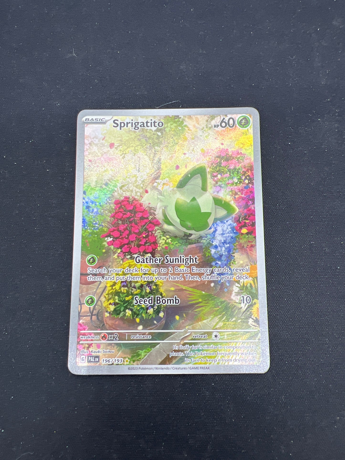 Auction Lot 130: Pokemon Card Sprigatito Illustration Rare Paldea Evolved Conditions Vary