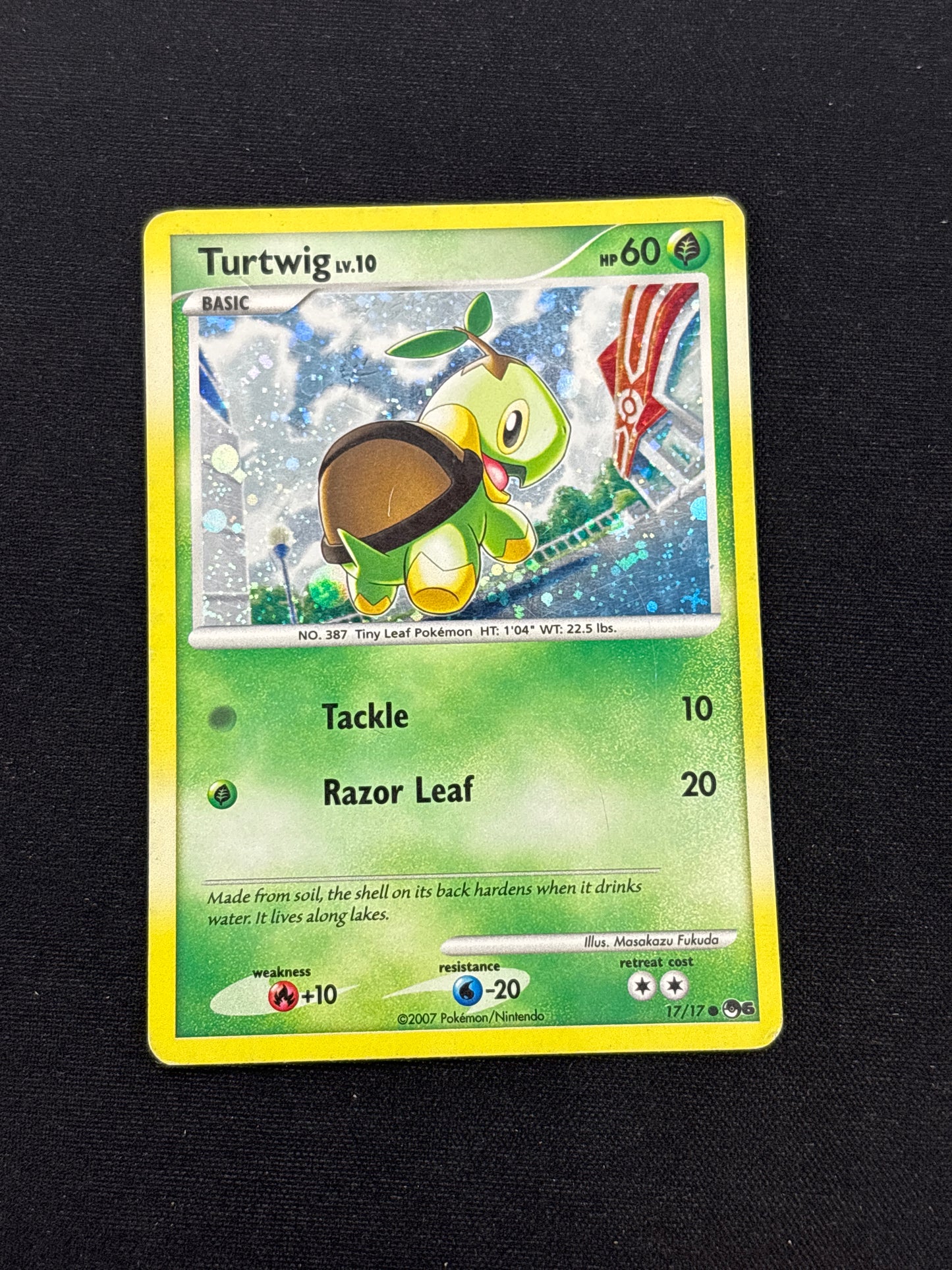 Auction Lot 236: Turtwig Holo Pokemon Card Conditions Vary