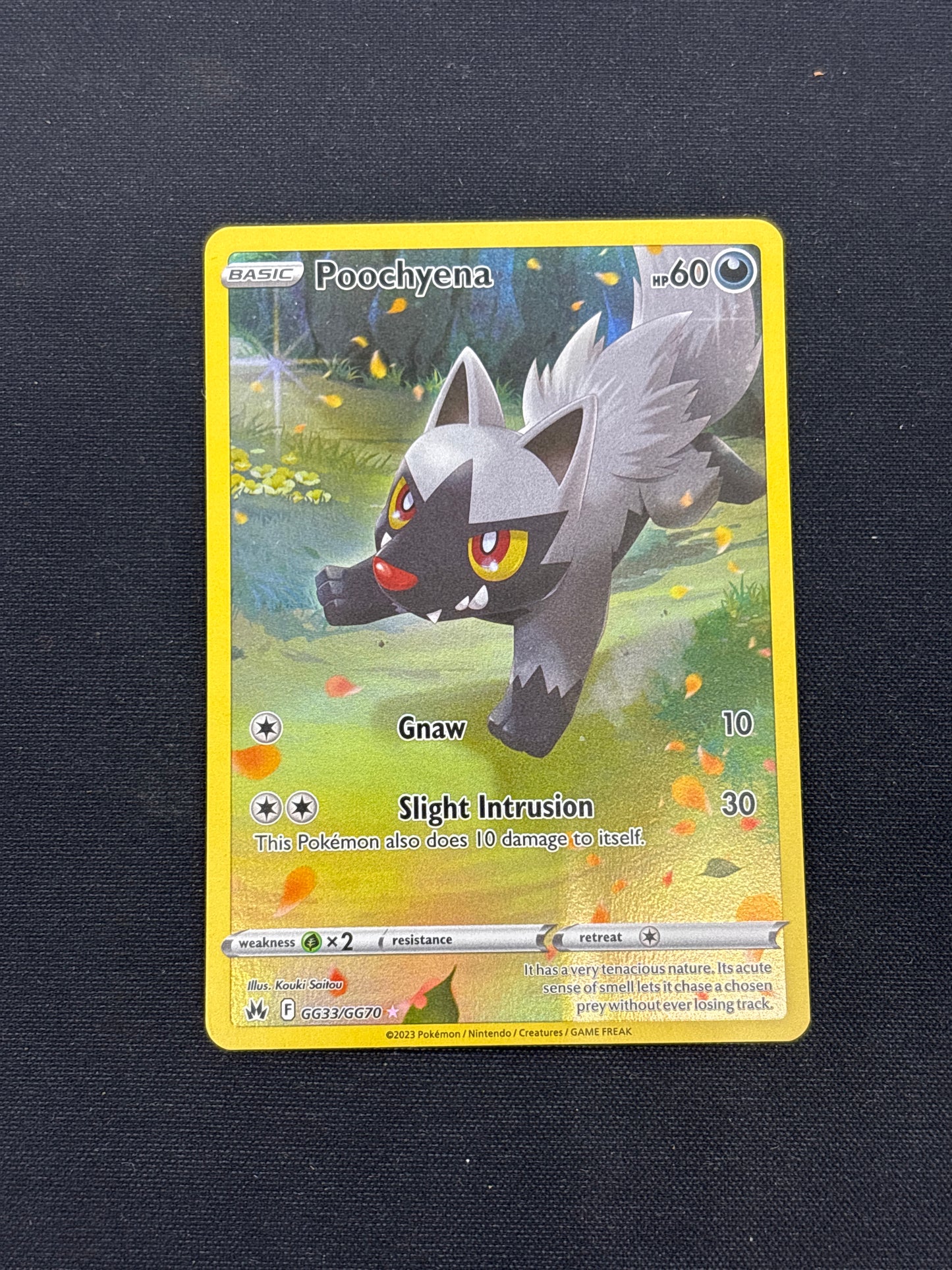 Auction Lot 213: Poochyena Galarian Gallery Card Conditions Vary