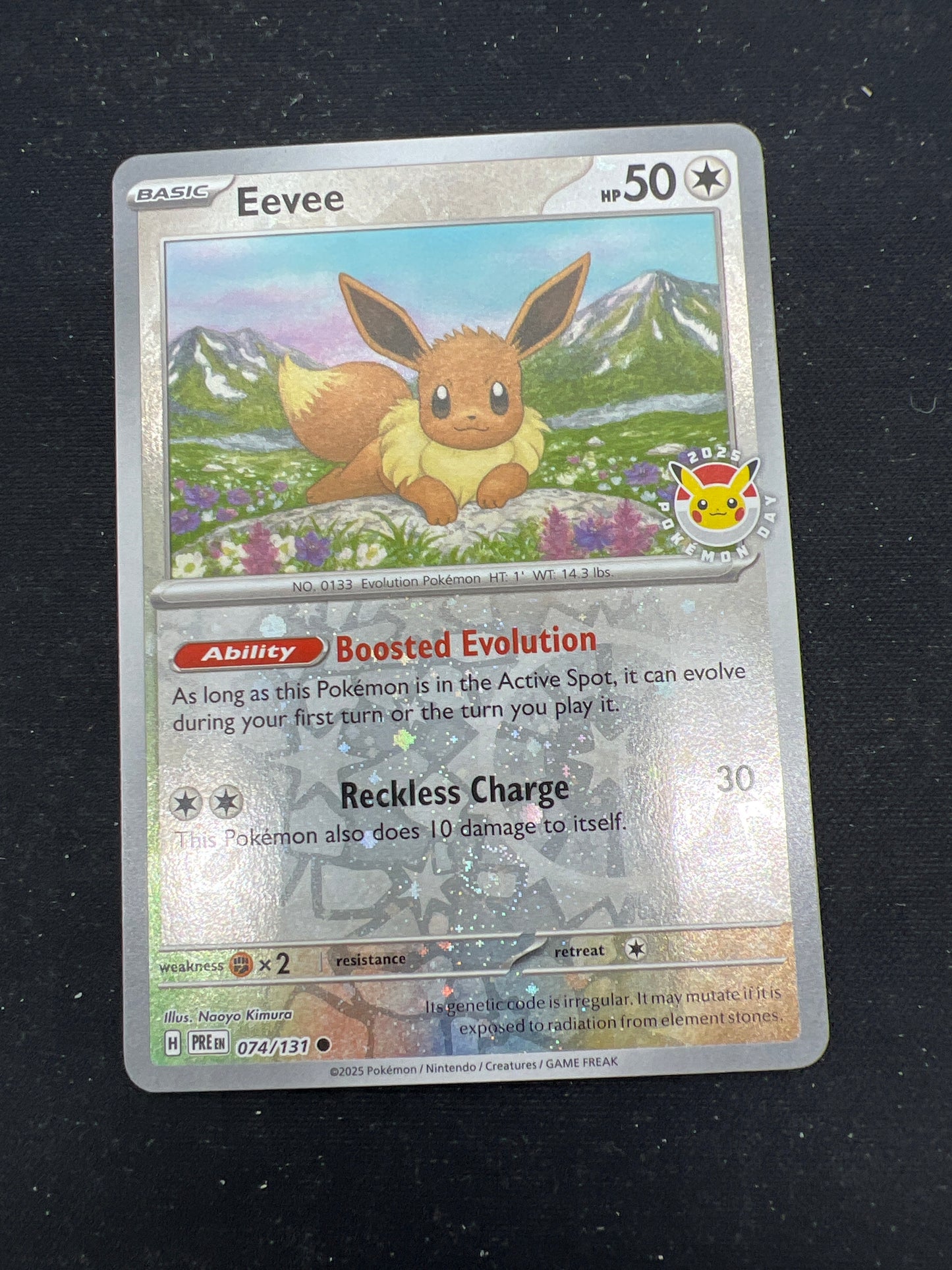 Auction Lot 242: Pokemon Cards Eevee Pokemon Day 2025 Stamped Holo Conditions Vary