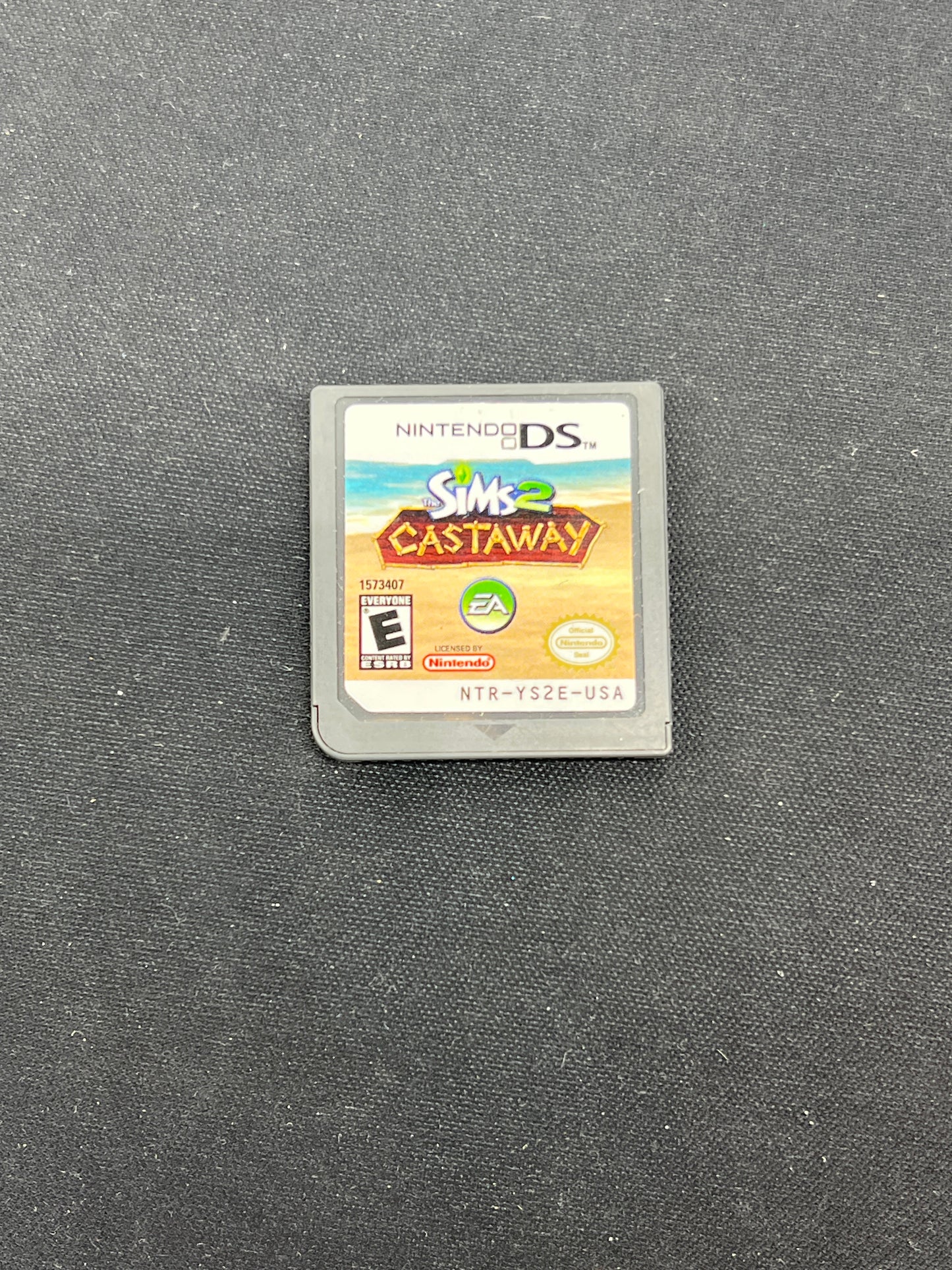 Auction Lot 313: Nintendo DS Video Game Loose Sims 2 Castaway