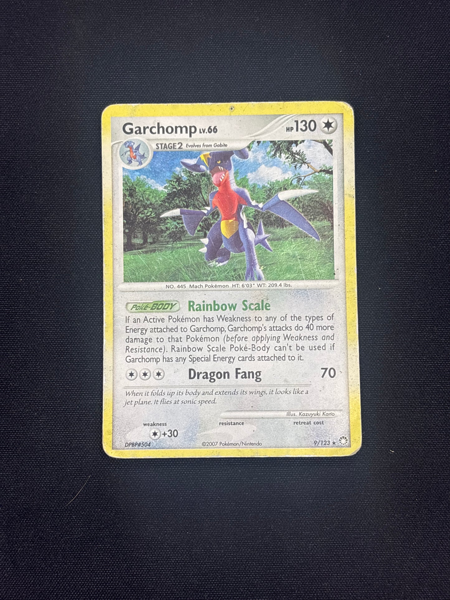 Auction Lot 209: Pokemon Garchomp Holo Card Conditions Vary