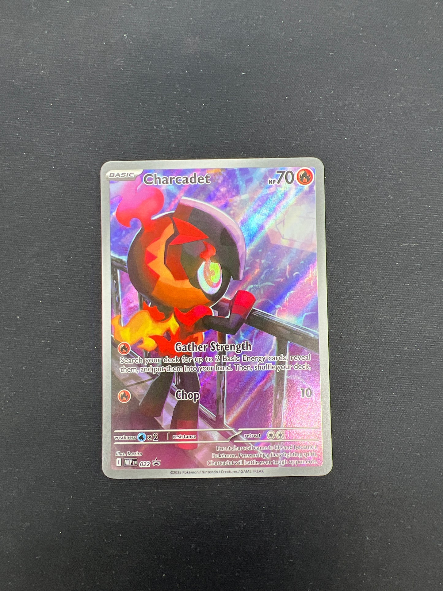 Auction Lot 178: Pokemon Cards Charcadet ETB Promo PFL Condition Vary