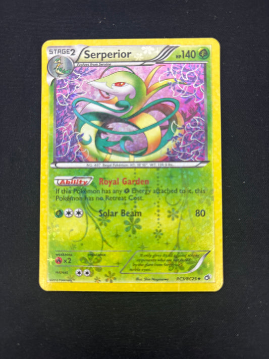 Auction Lot 353: Pokemon Card Serperior Radiant Collection Holo Conditions Vary