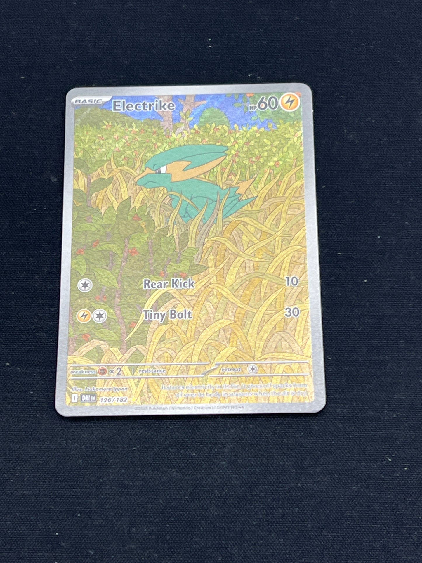 Auction Lot 62: Pokemon Cards Electrike Illustration Rare Condition Vary
