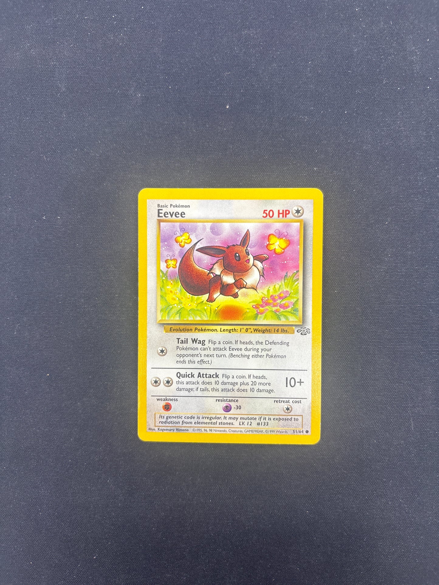 Auction Lot 19: Pokemon Card Eevee Jungle Condition Vary