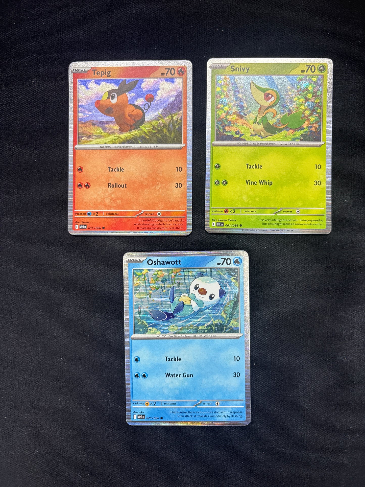 Auction Lot 262: Pokemon Cards Lot of 3 BW Starters Poster Collection Promos Conditions Vary