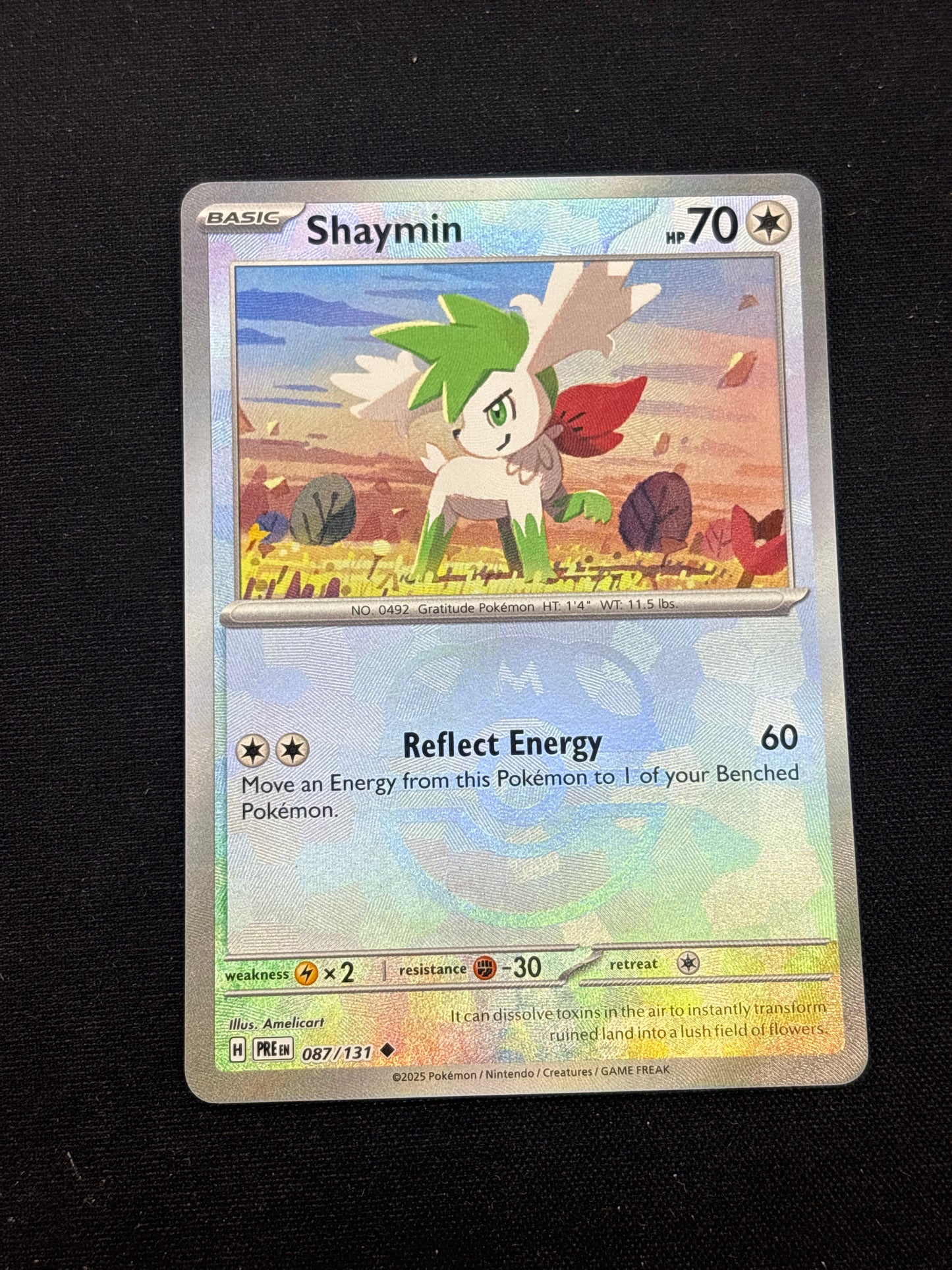 Auction Lot 75: Pokemon Cards Shaymin Masterball Holo Prismatic Evolutions Condition Vary
