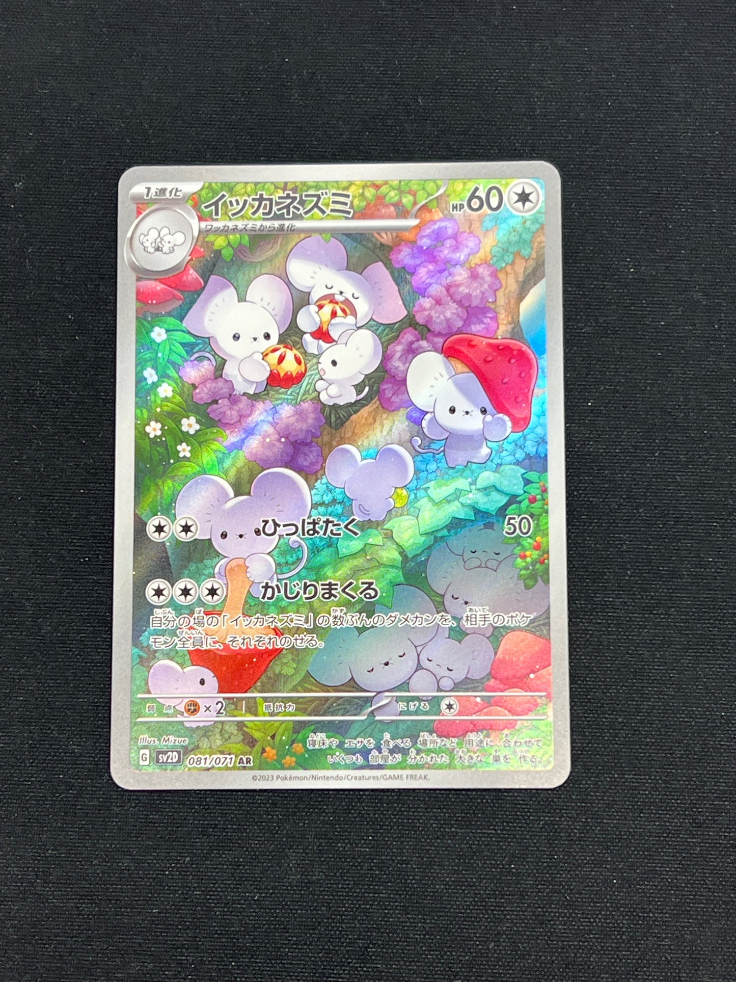 Auction Lot 287: Pokemon Cards Japanese Maushold AR Clay Burst Conditions Vary