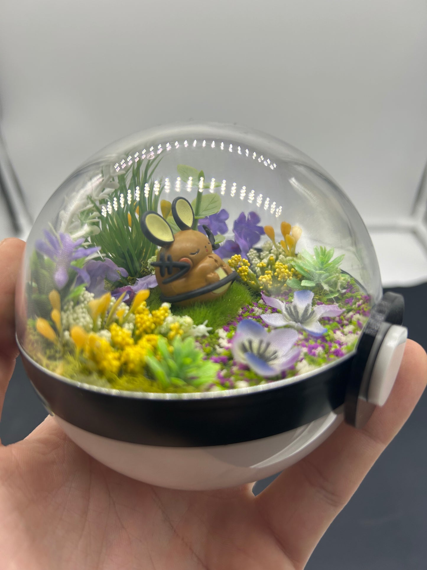 Pokemon terrarium auction