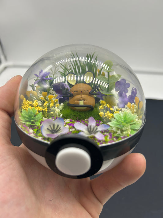 Pokemon terrarium auction