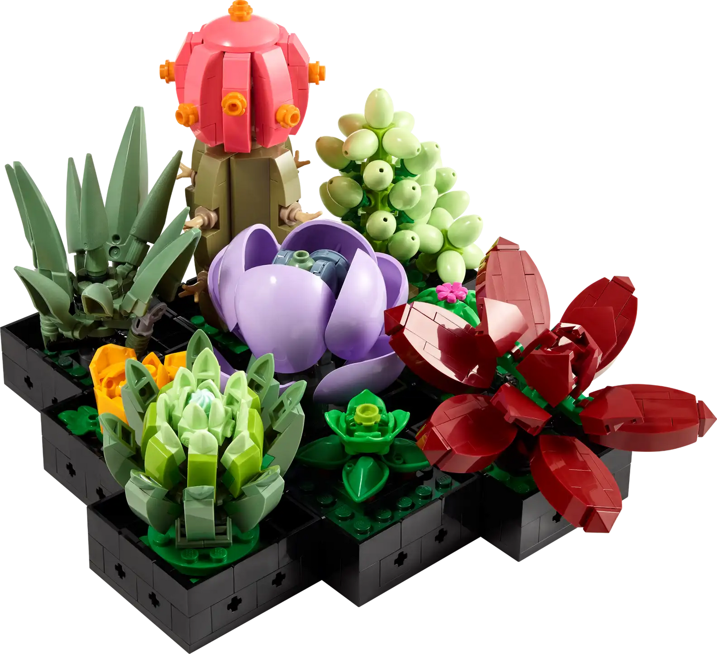 Succulents Lego 10309