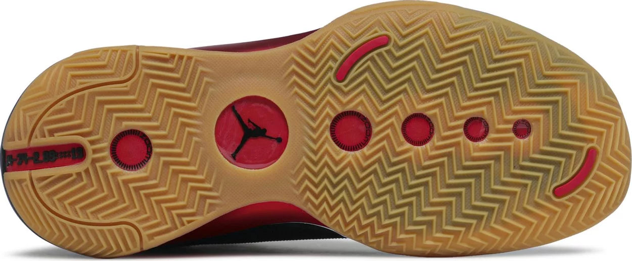 Air Jordan Xxxiv Tatum Pe Cheetah Size 9.5 vnds