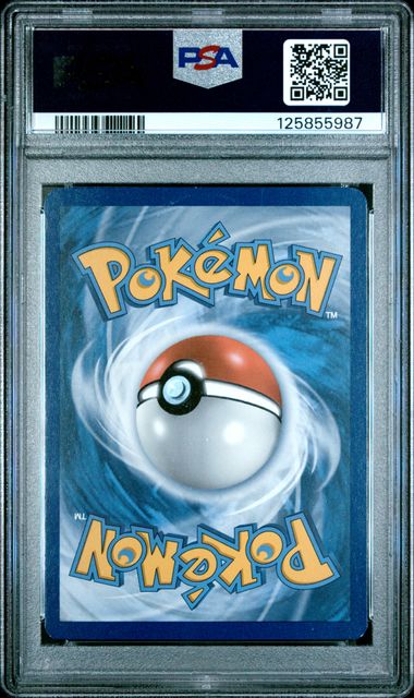 Primal Groudon EX FA PSA 8