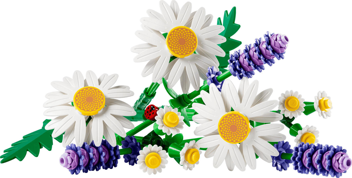 11508 Botanicals Daisies