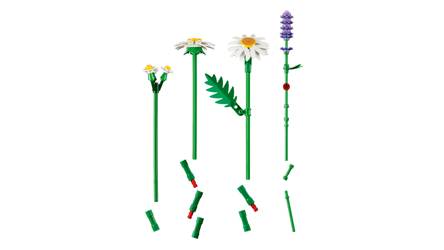 11508 Botanicals Daisies
