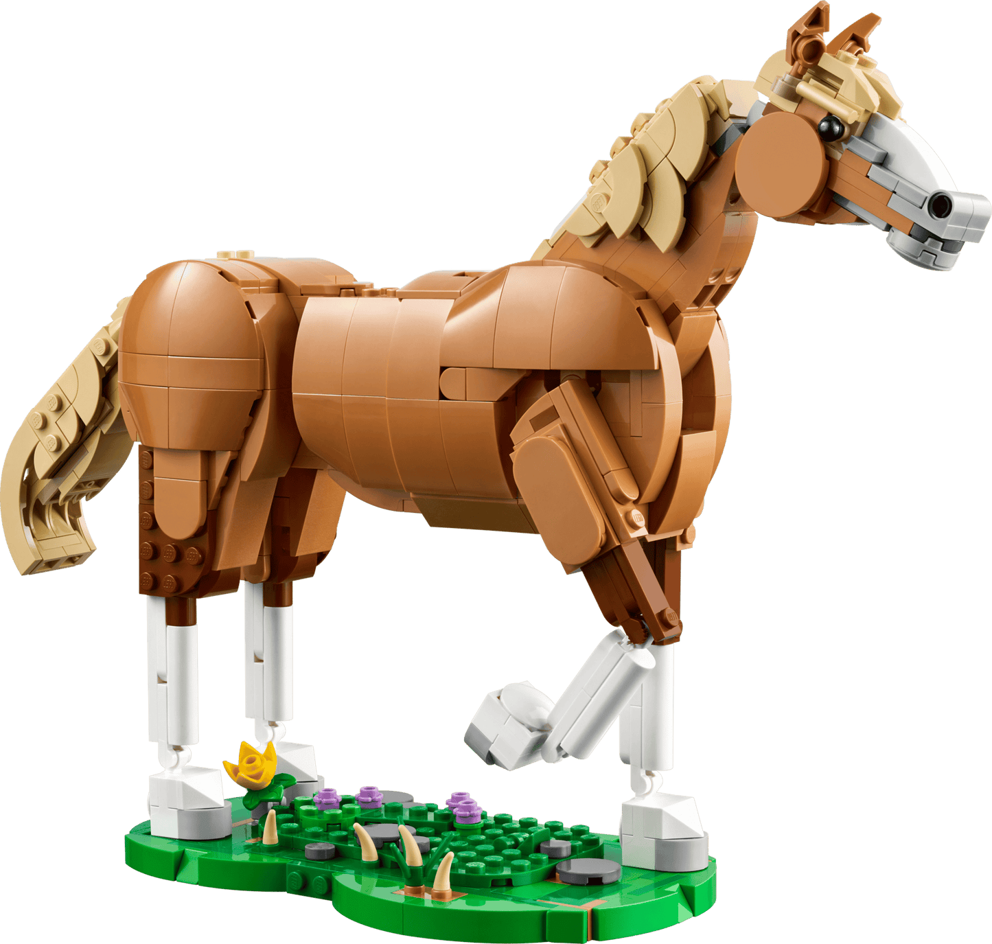 31166 Beautiful Horse