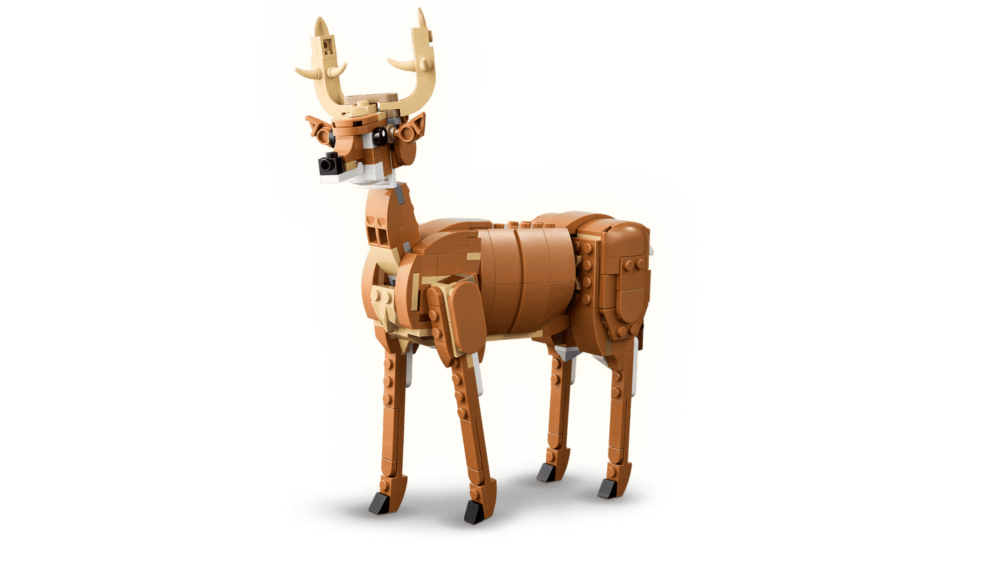 31166 Beautiful Horse