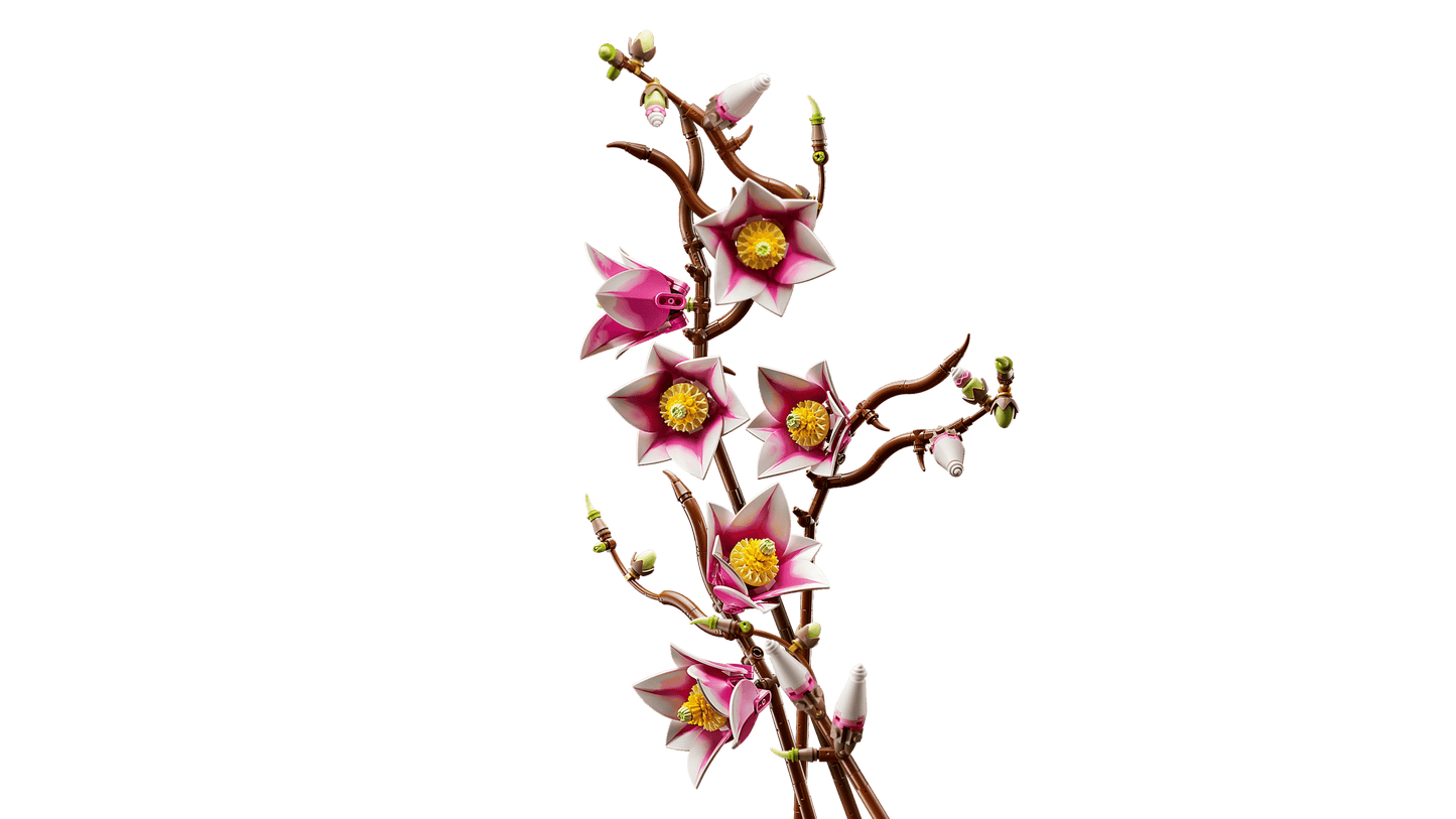 11510 Magnolia Branches