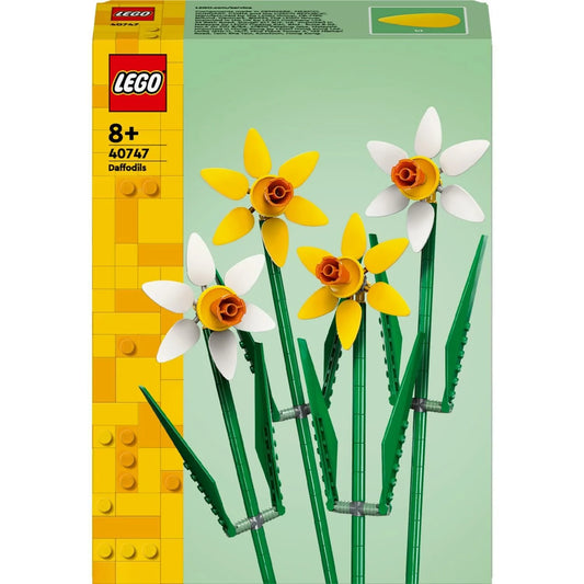 Daffodils 40747
